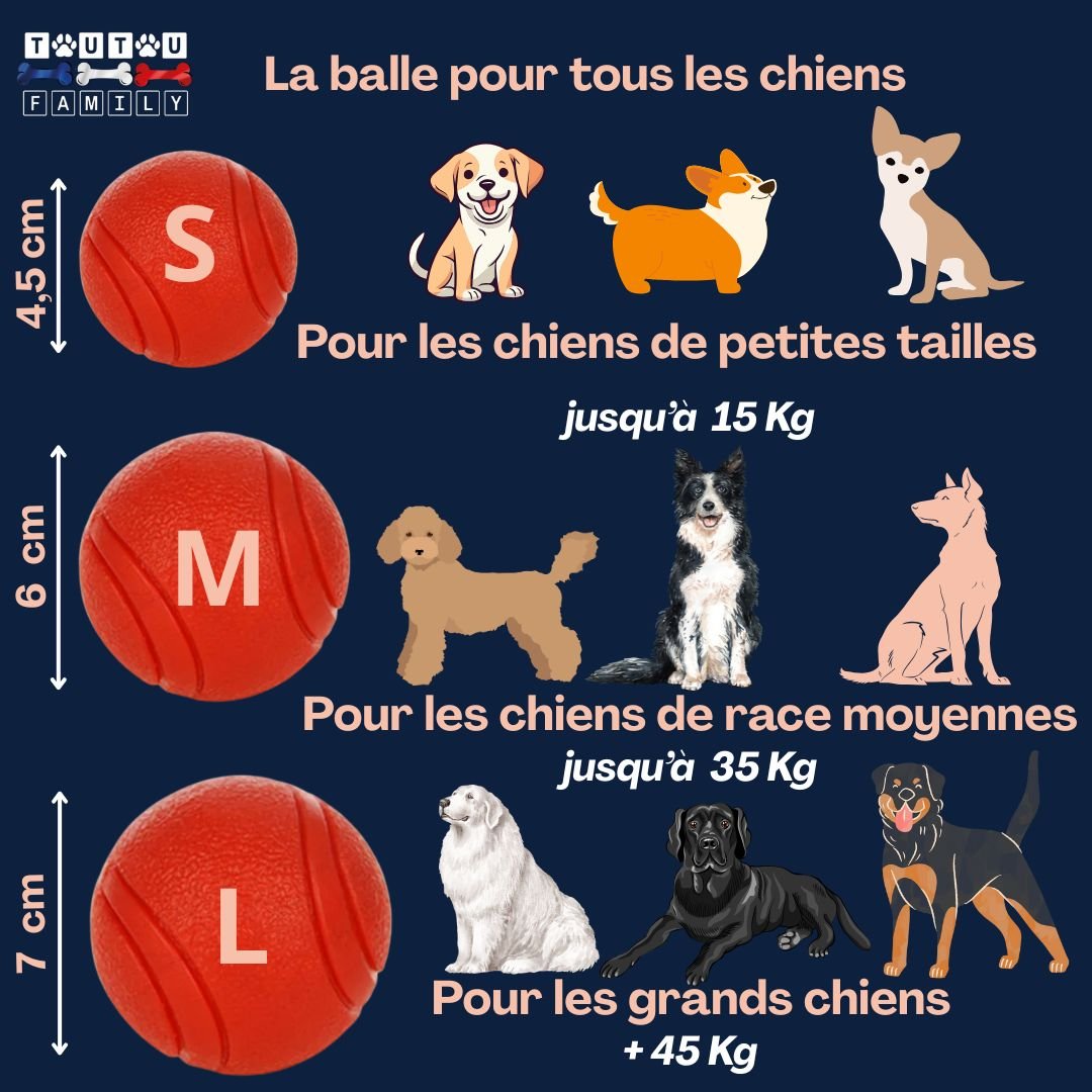 Balle-chien-solide-lot-de-3-balles-guide-des-tailles-pour-petits-a-grand-chien-flottante-rebondissante-sonore-pour-tous-les-chiens