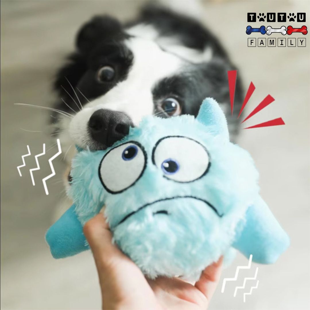 Balle interactive pour chien - PelucheToutouâą