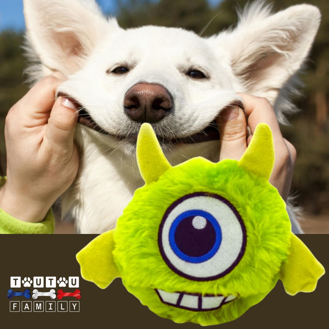 Balle-interactive-pour-chien-monstre-vert-fonctionne-pile