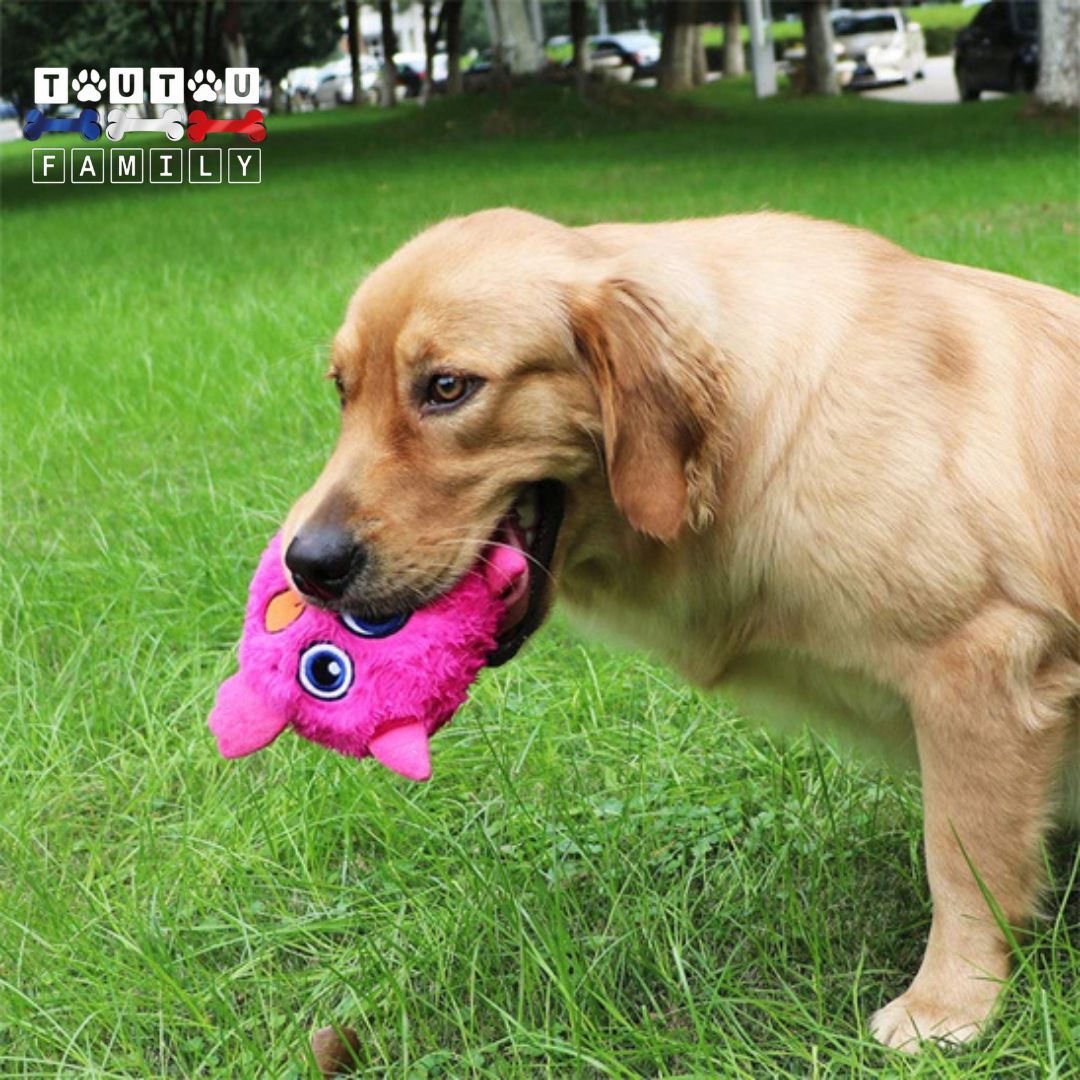 Balle-interactive-pour-chien-monstre-en-peluche-qui-bouge-toute-seule-un-golden-qui-tient-sa-balle-en-peluche-dans-ses-mĂąchoire-lavable-en-machine-dans-le-parc