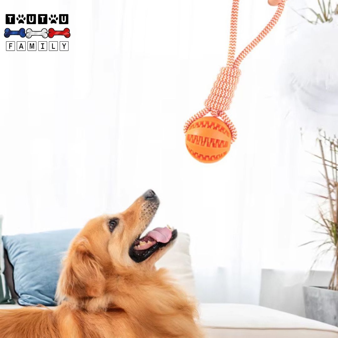 balle-pour-chien-avec-corde-a-friandise-jouet-interactif-qui-renforce-le-lein-avec-le-maitre