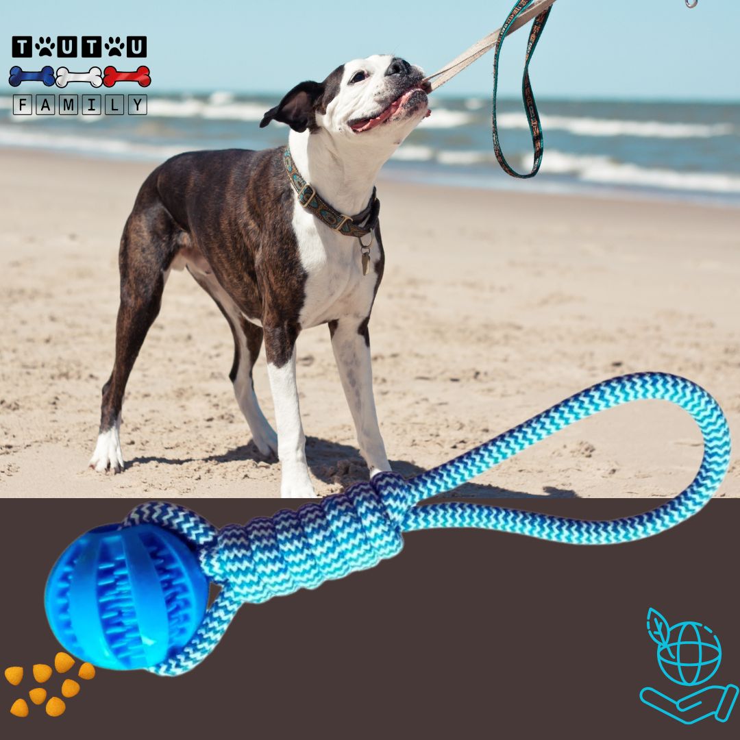 balle-pour-chien-avec-corde-flottante-idéal-pour-les-jeux-dans-l-eau