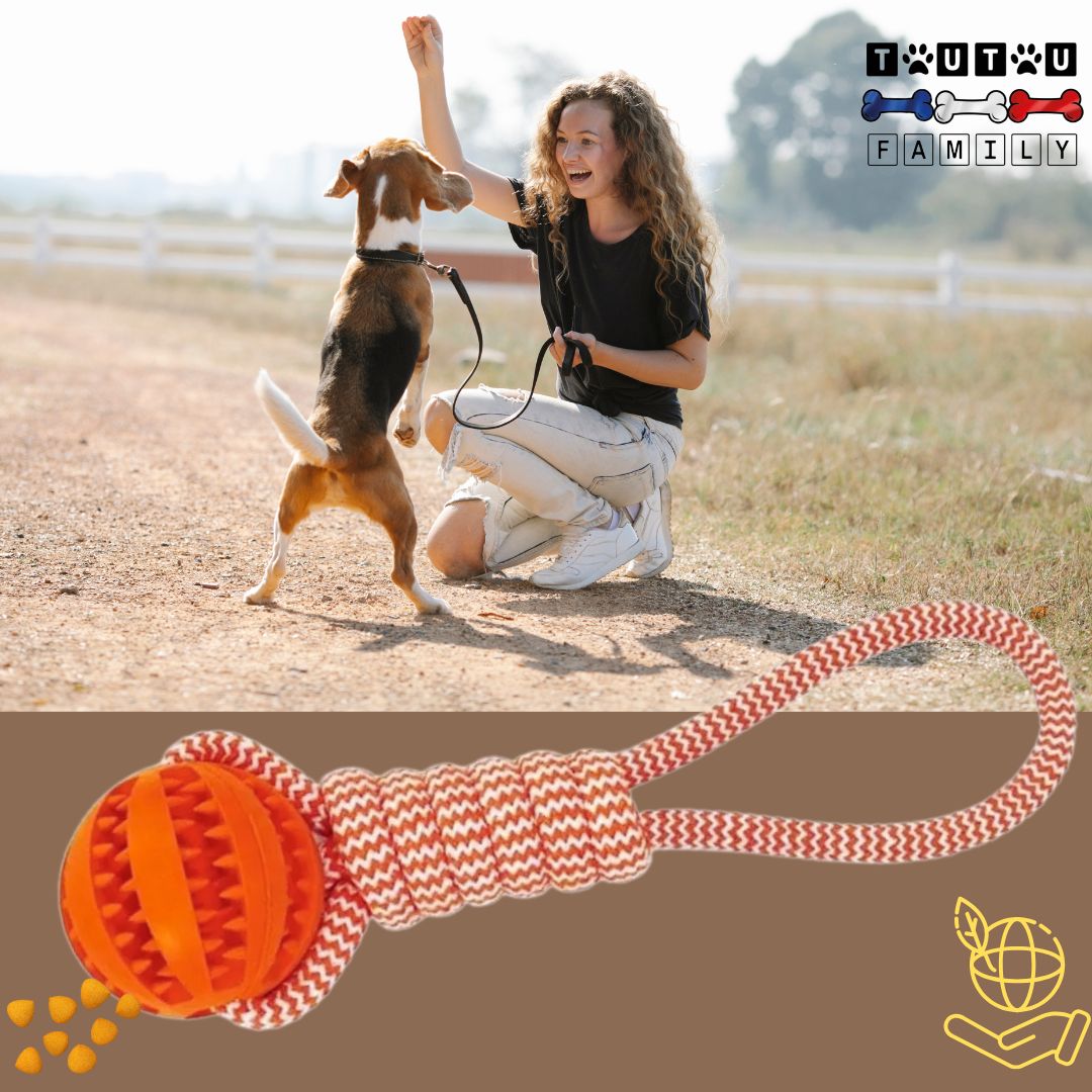 balle-pour-chien-avec-corde-orange-jouet-interactif-pour-l-intérieur-ou-l-extérieur