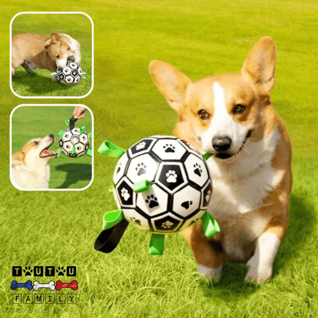 Balle pour chien de foot - FootToutou™