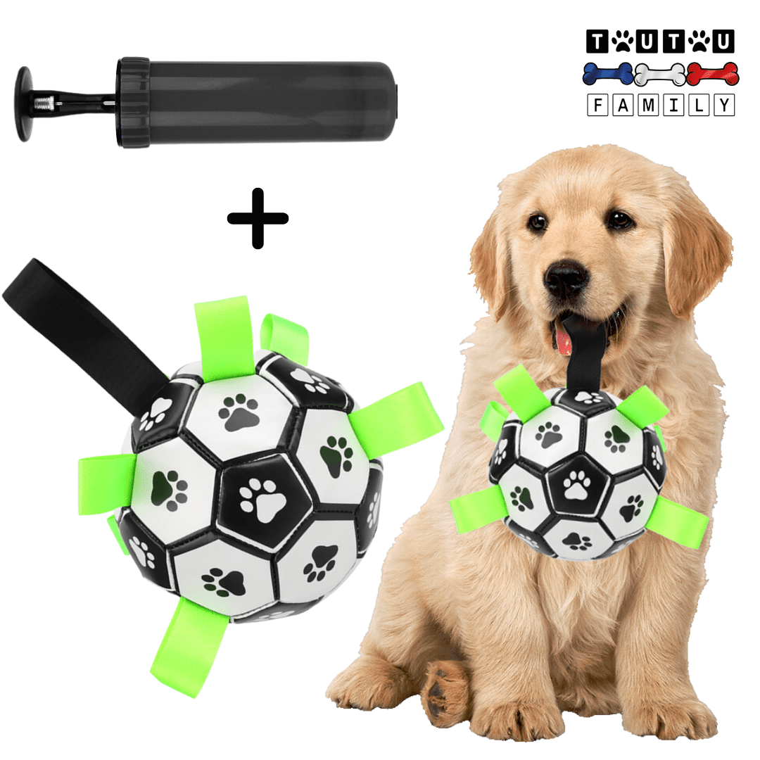 Balle pour chien de foot - FootToutou™