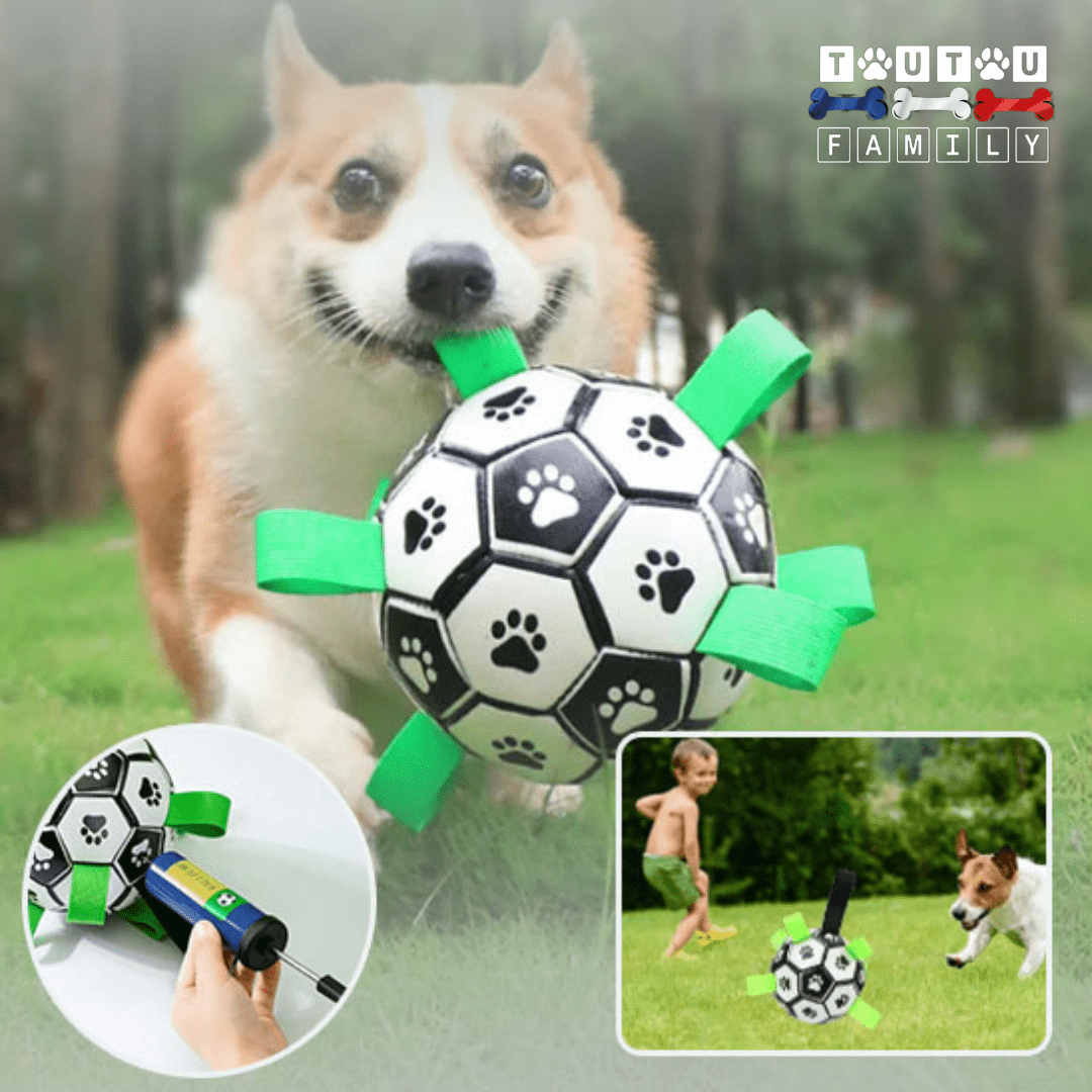 Balle pour chien de foot - FootToutou™