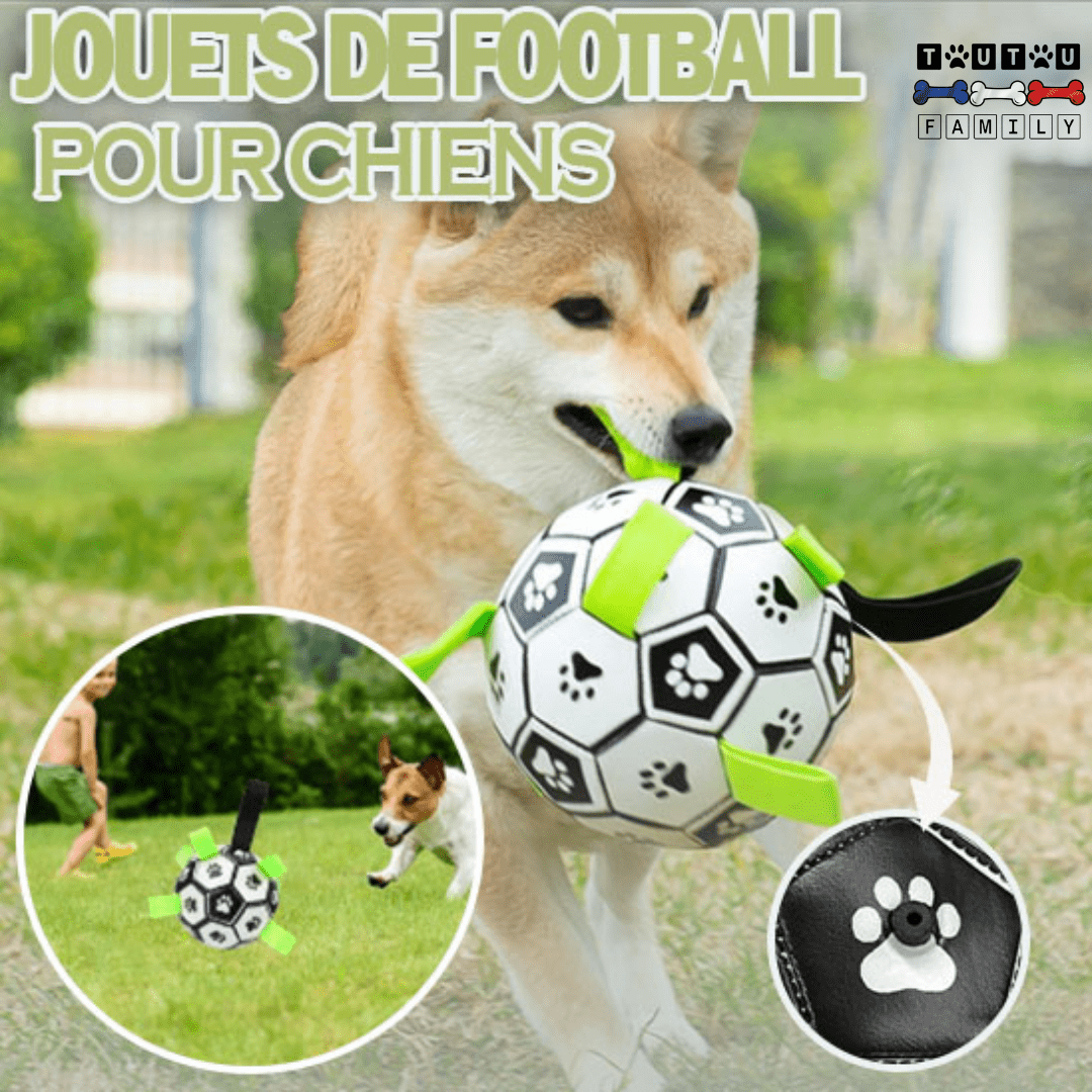 Balle pour chien de foot - FootToutou™