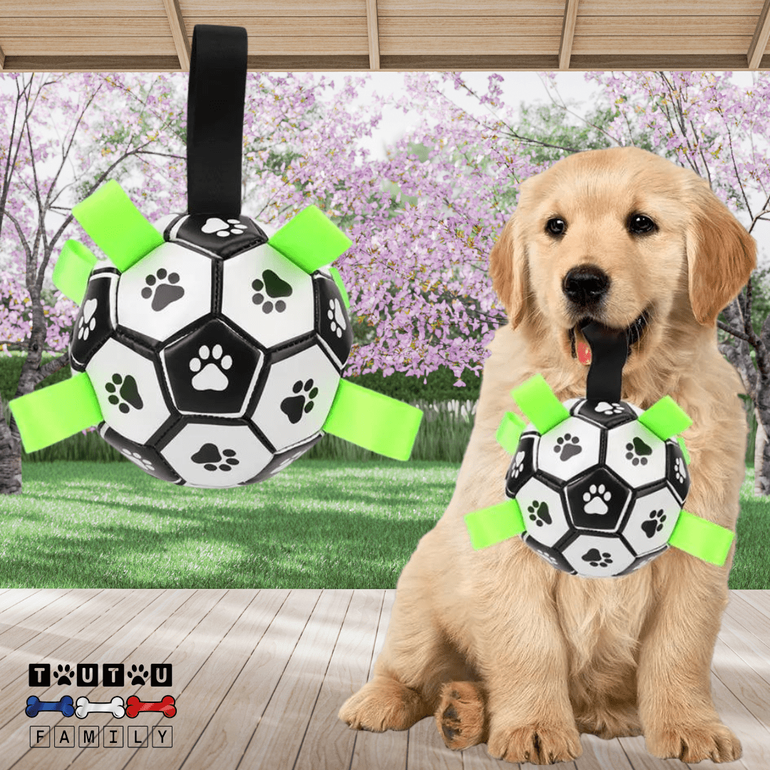 Balle pour chien de foot - FootToutou™