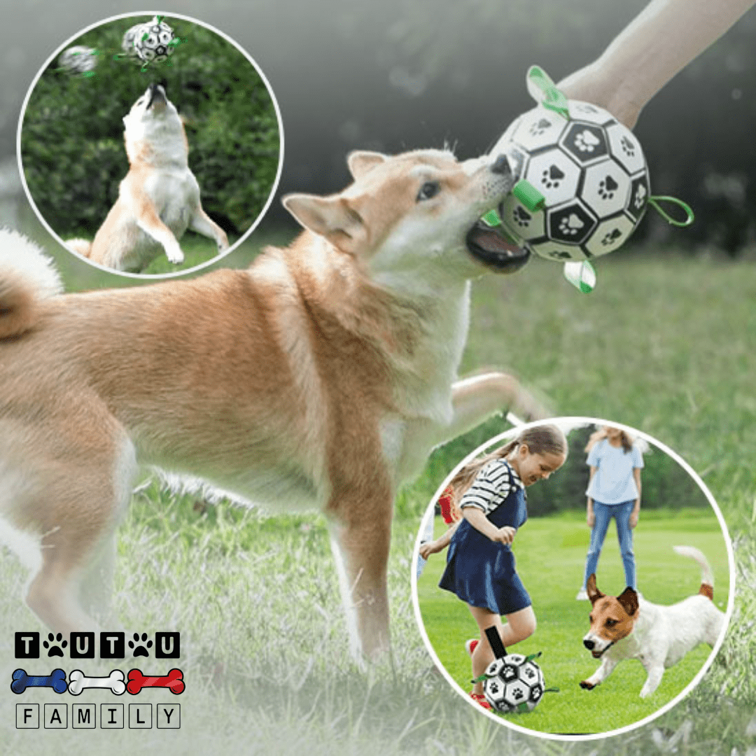 Balle pour chien de foot - FootToutou™