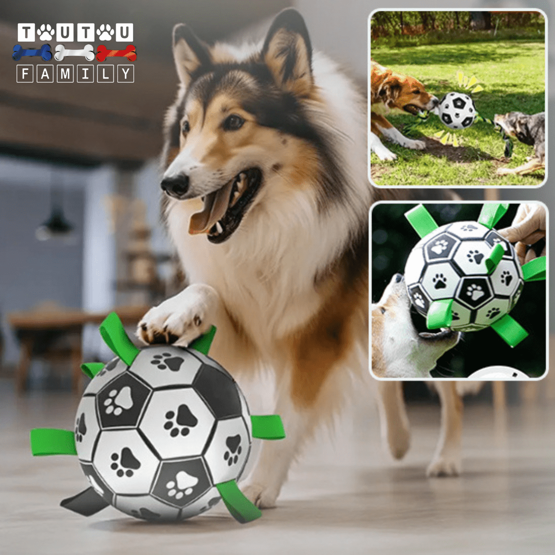 Balle pour chien de foot - FootToutou™