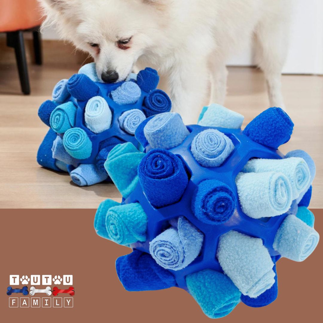 balle-pour-chien-de-fouille-caoutchouc-bleue-jeu-pour-chien-intelligent