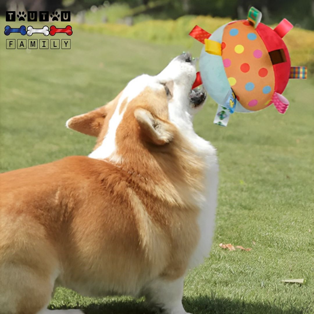 balle-pour-chien-en-peluche-jouet-interactif-un-chien-de-taille-moyenne-qui-tient-les-sangles-de-la-balle-dans-sa-bouche-en-a-secouant-avec-joie