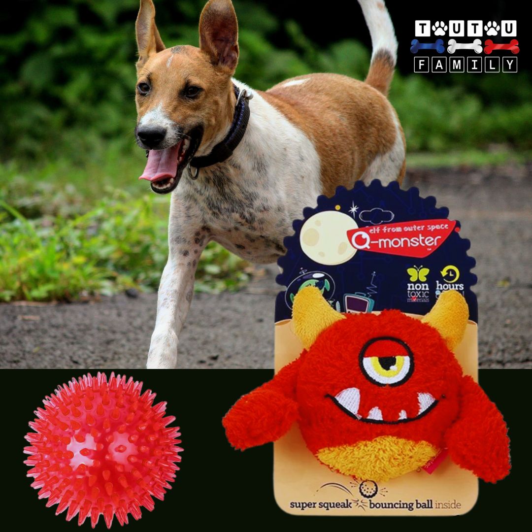 balle-pour-chien-peluche-rebondissante-sonore