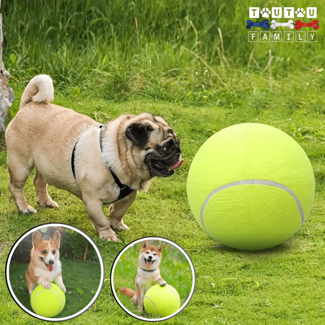 balle_pour_chien_geante
