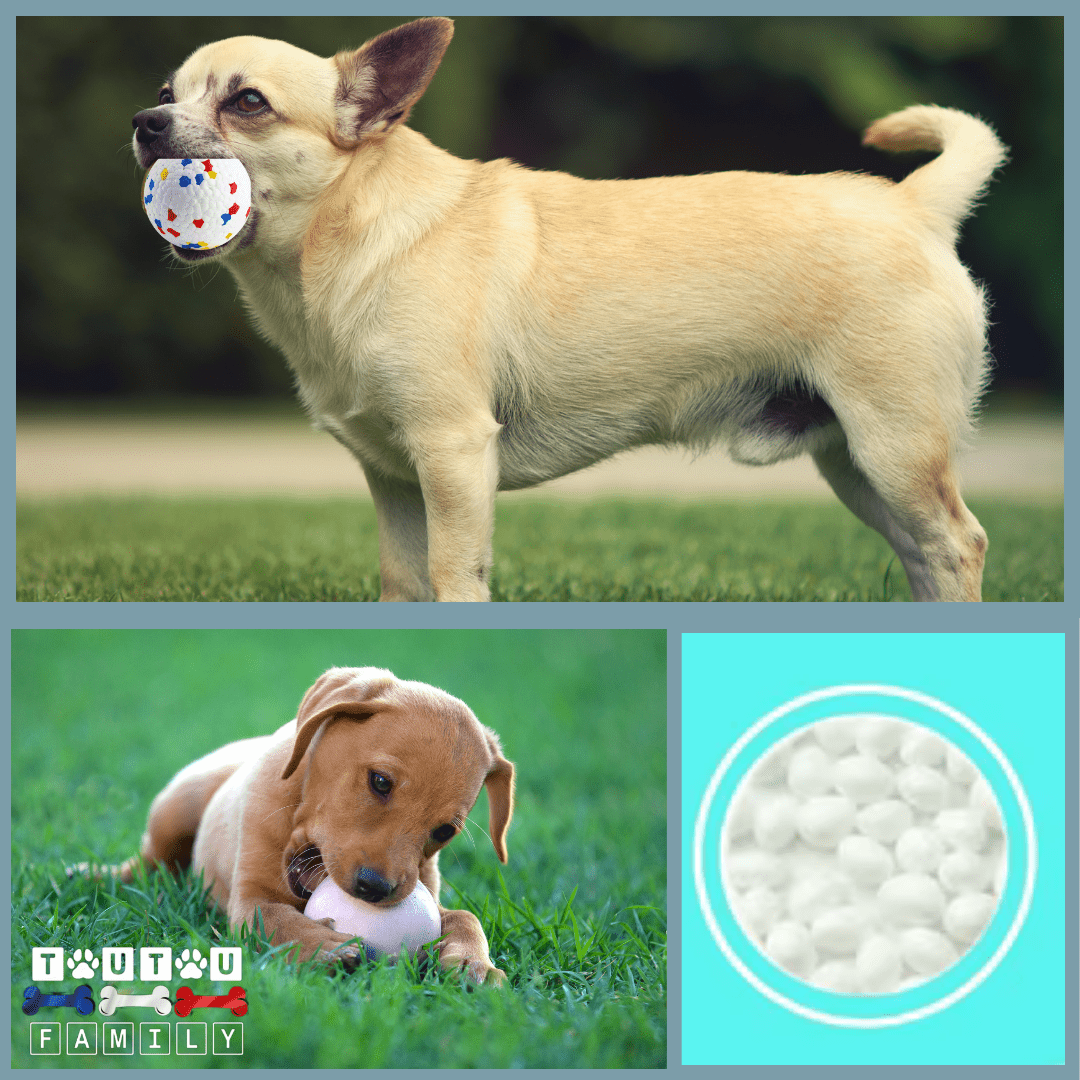balle-pour-chien-indestructible