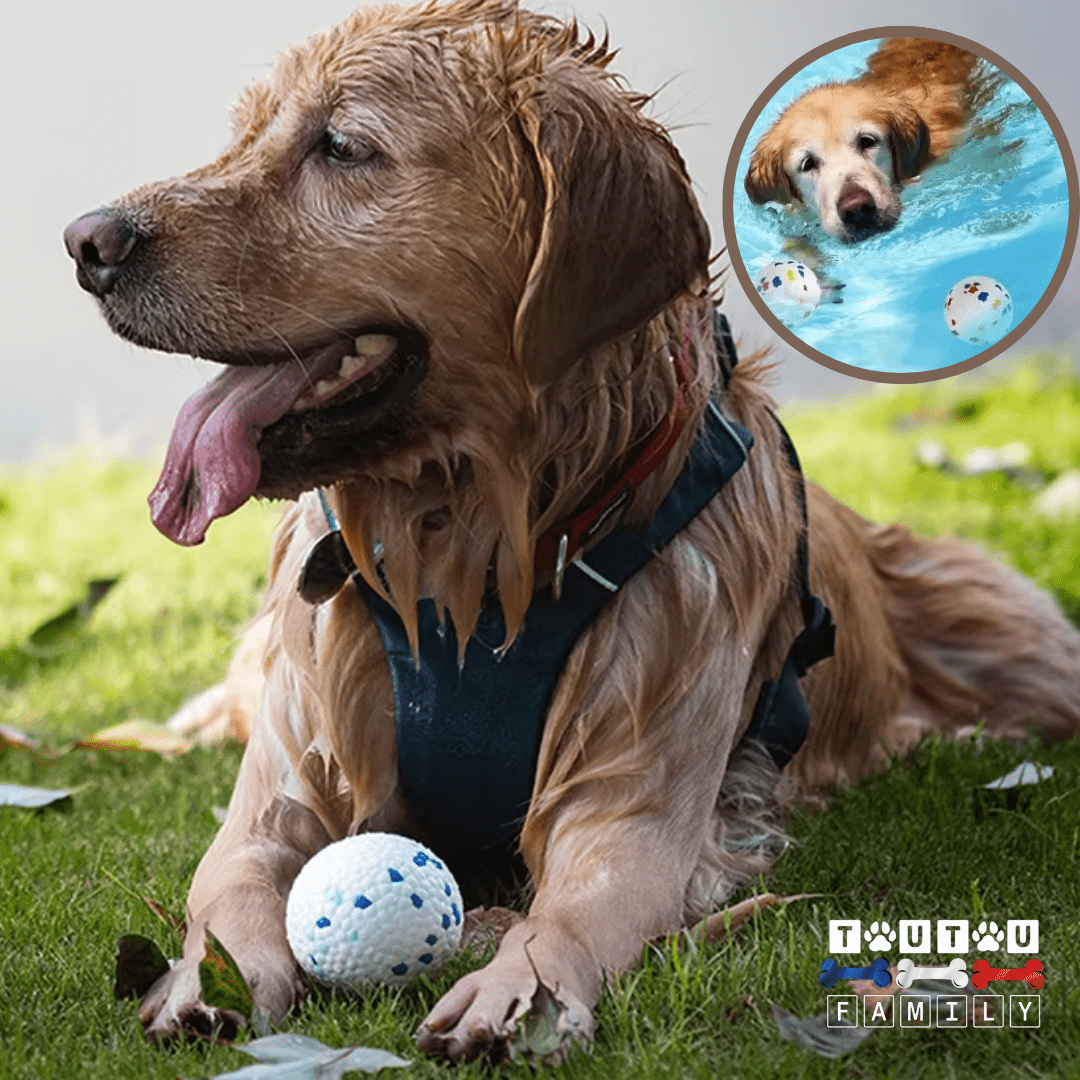 balle-pour-chien-indestructible