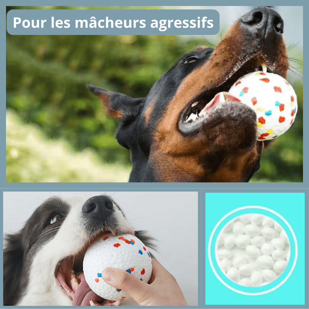 balle-pour-chien-indestructible