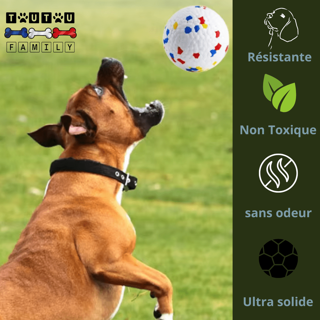 balle-pour-chien-indestructible