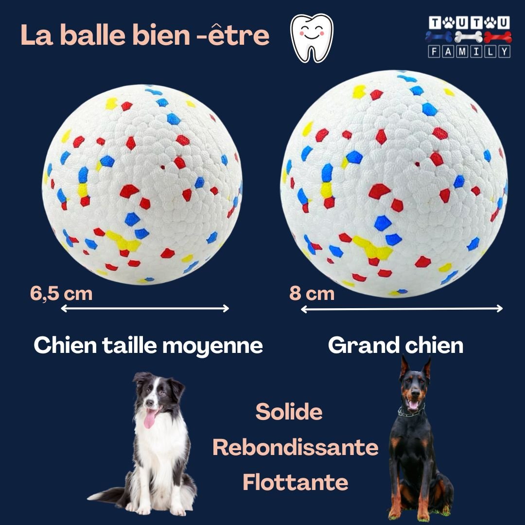 Balle-pour-chien-indestructible-caractéristiques-deux-diamÚtre-6,5-cm-et-8-cm-pour-grand-chien-et-chien-moyen-solide-rebondissante-et-flottante