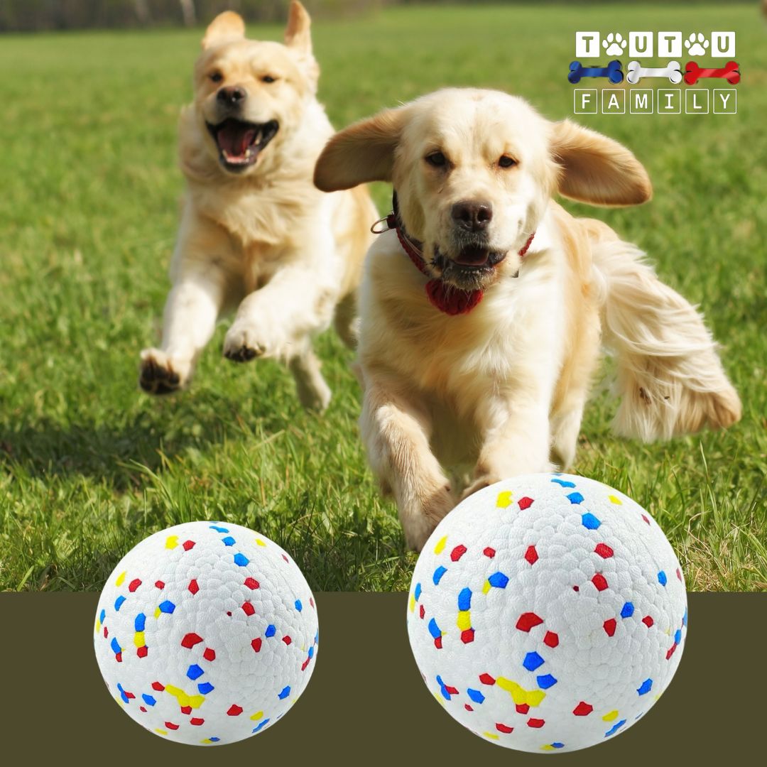 Balle-pour-chien-indestructible-pour-chien-lot-de-deux-balles-6,5cm-8cm-pour-chien-de-taille-moyenne-et-les-grands-chiens