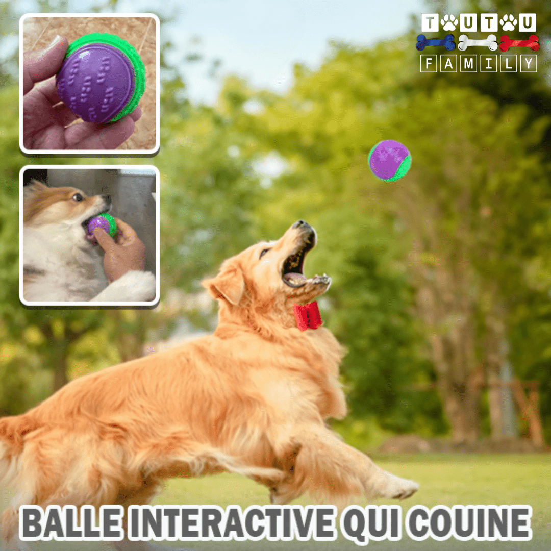 balle_pour_chien_flottante