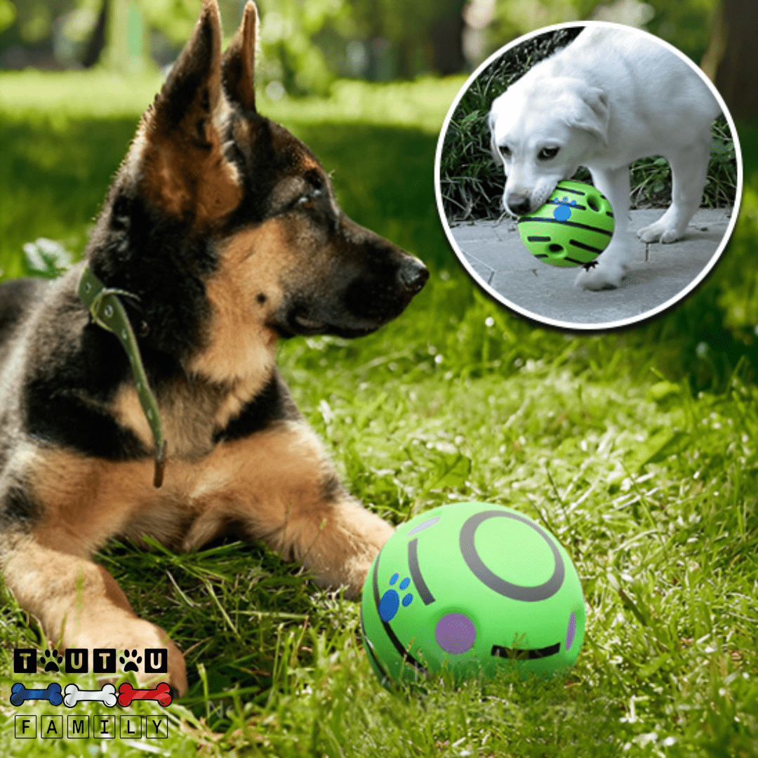 balle-pour-chien