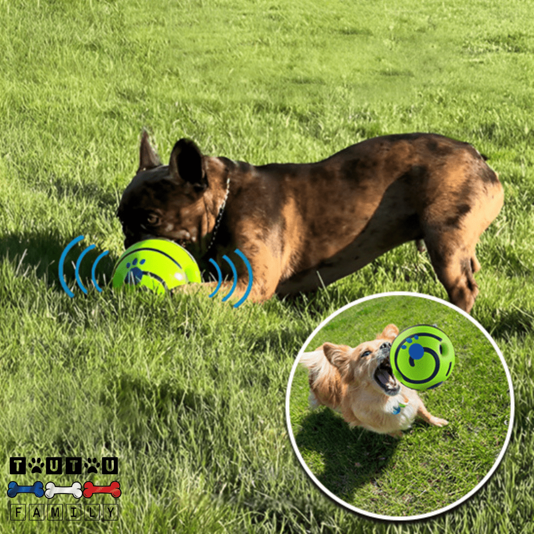 balle-pour-chien-sonore
