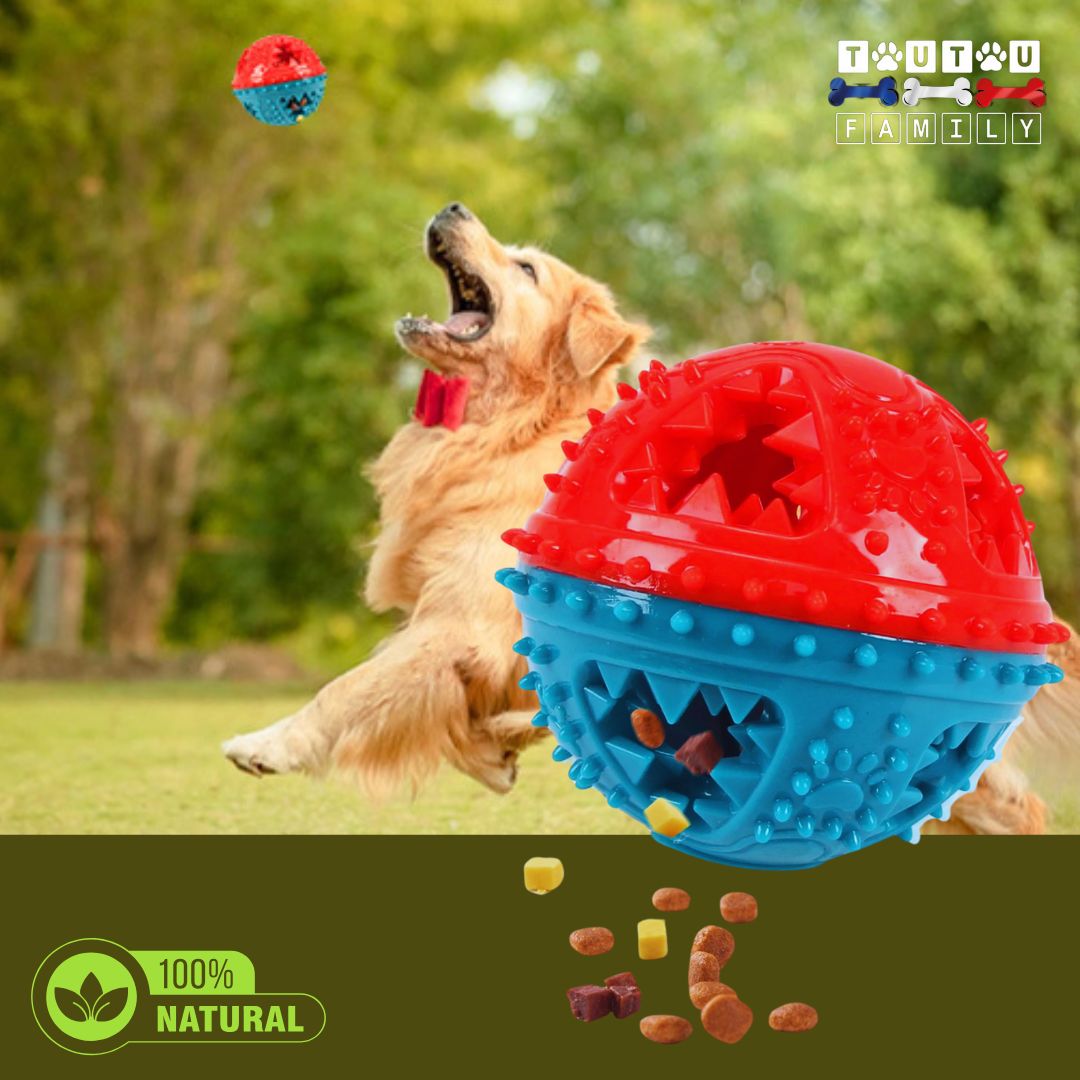 balle-pour-chien-bleu-et-rouge-distributeur-de-friandise-jeu-d-occupation-et-interactif