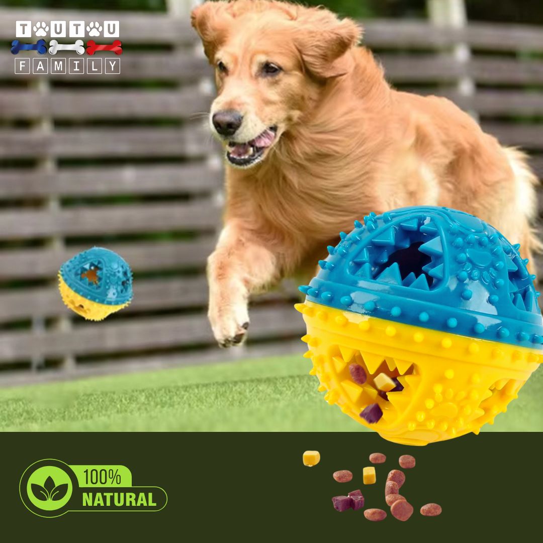balle-pour-chien-jaune-et-bleu-distributeur-de-friandise-pour-tout-les-chiens