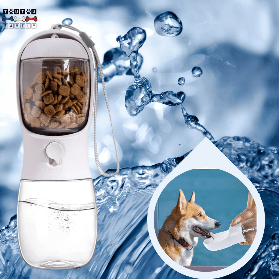 Bouteille d'eau pour chien - DistribToutouâą