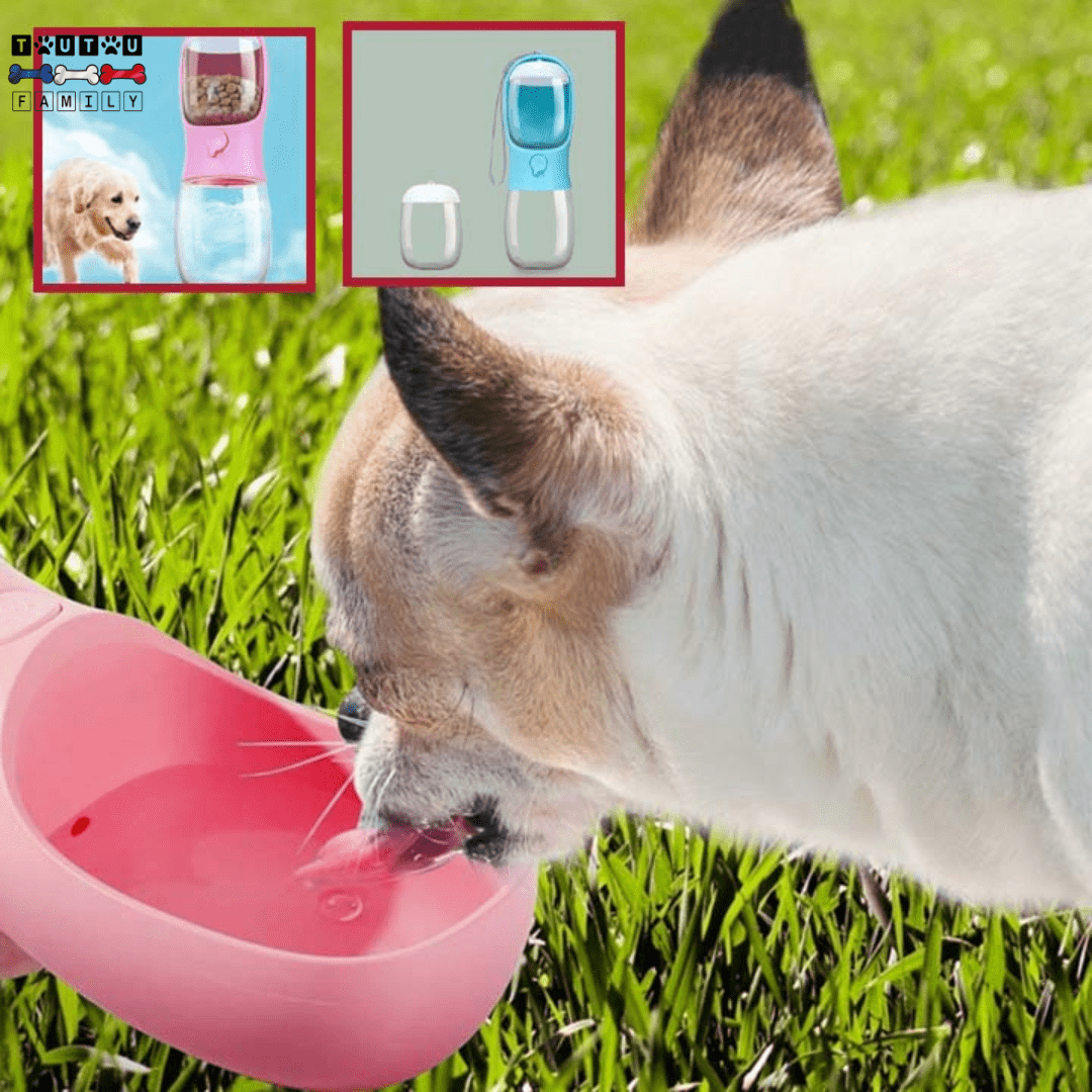 Bouteille d'eau pour chien - DistribToutouâą