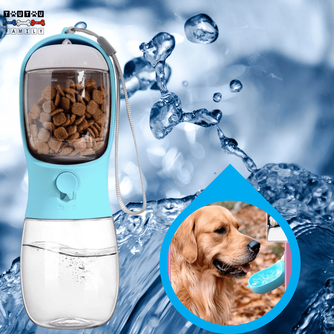 Bouteille d'eau pour chien - DistribToutouâą