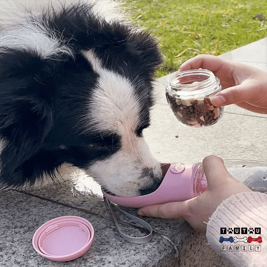 Bouteille d'eau pour chien - DistribToutouâą