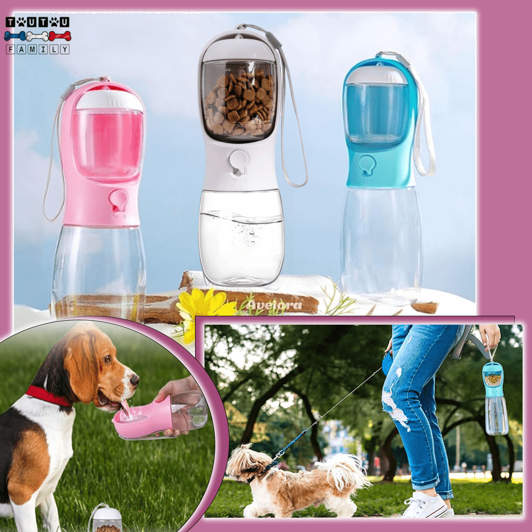 Bouteille d'eau pour chien - DistribToutouâą