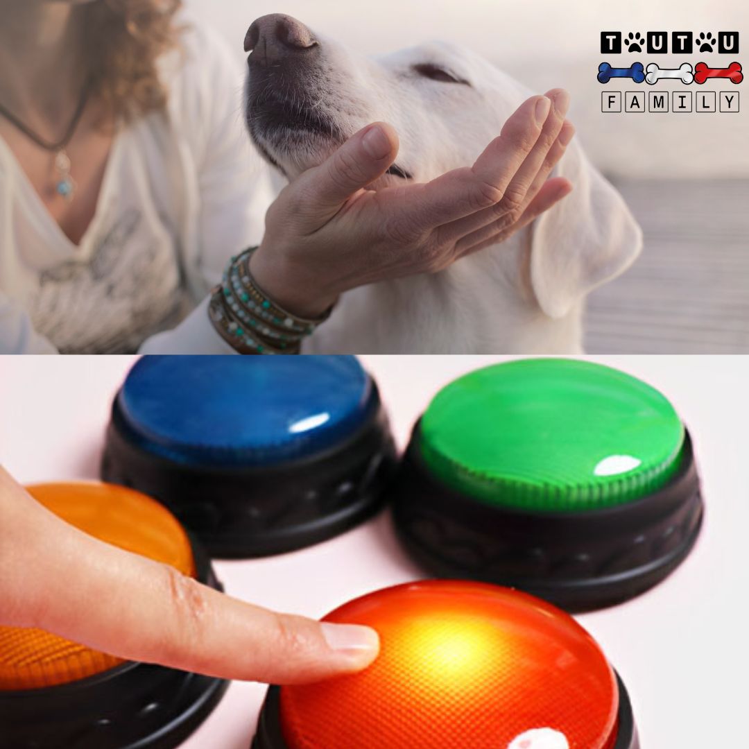 Bouton-de-communication-chien