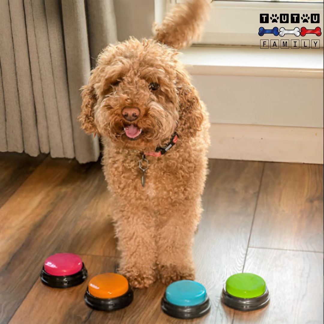 bouton-de-communication-chien-qui-parle
