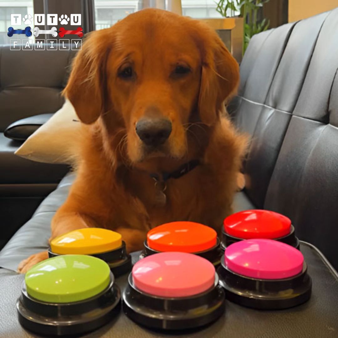 bouton-de-communication-chien-enregistrable