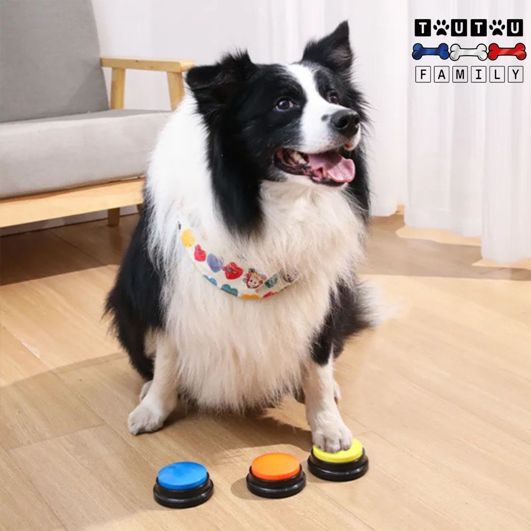 Buzzer-pour-chien-enregistrable-un-chien-appuie-avec-sa-patte-et-regarde-son-maitre-pour-exprimer-ses-besoins-jeu-d-intelligence-pour-chien