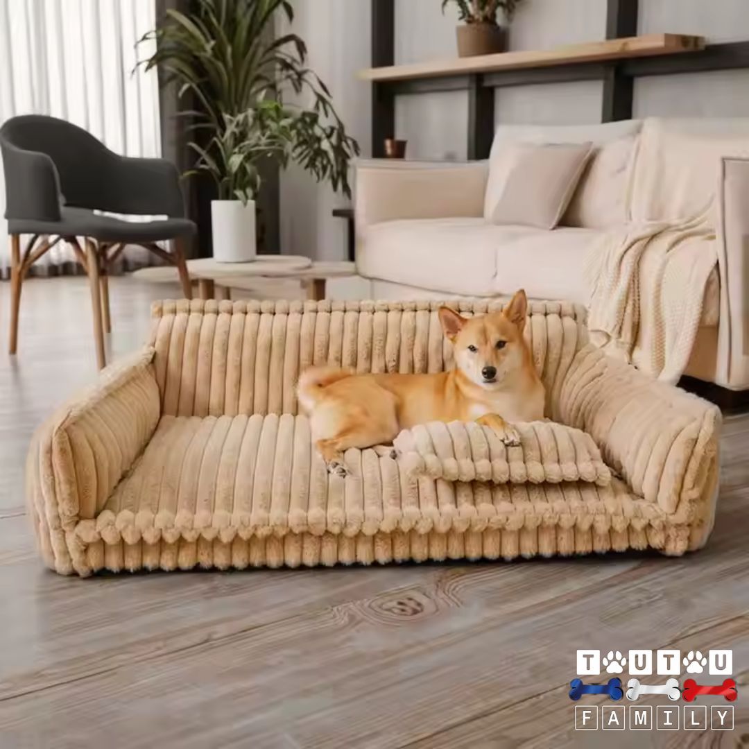 Canapé-pour-chien-douillet-xxl-déhoussable-un-chien-de-taille-moyenne-sur-son-grand-canapé-au-toucher-velours-de-couleur-marron-clair-dans-le-salon
