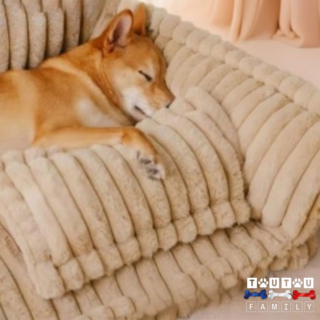 Canapé-pour-chien-déhoussable-en-coton-avec-rembourrage-haute-densité-pour-un-soutien-ergonomique-un-chien-qui-dort-confortablement-dans-son-canapé-tout-doux-et-résistant
