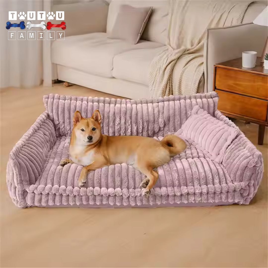 Canapé-pour-chien-confortable-un-chien-couché-de-tout-son-long-sur-son-canapé-violet-déhoussable-et-lavable-à-la-machine