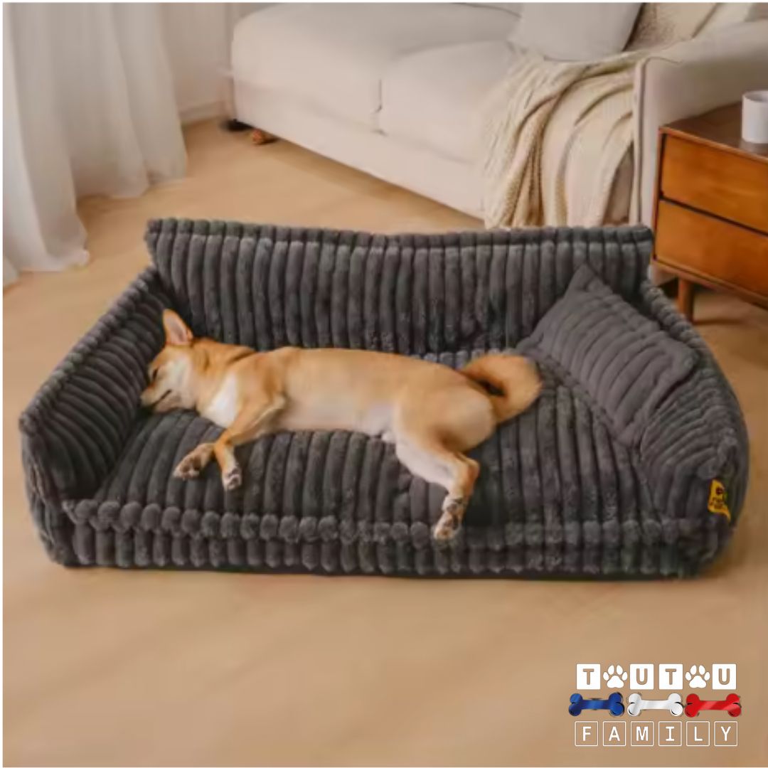 Canapé-pour-chien-xxl-déhoussable-lavable-en-machine-housse-en-velours-et-rembourrage-100%-coton-haute-densité-confortable-douillet-ergonomique