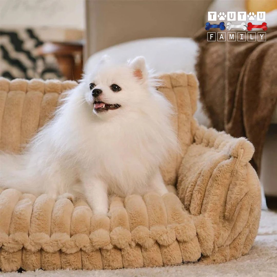 Canapé-pour-chien-ergonomique-et-moelleux-déhoussable-et-lavable-en-machine-un-chien-assit-confortablement-sur-son-canapé-douillet-et-chaud