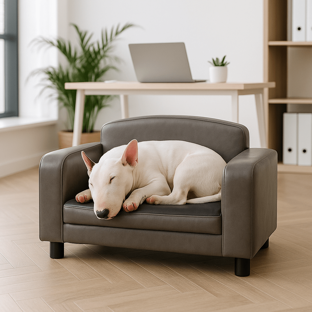Canapé-pour-chien-imperméable-chien-moyen-un Bull Terrier Miniature qui dort couché en boule dans le canapé en simili cuir gris avec matelas en mousse déhoussable et lavable dans le bureau de la maison