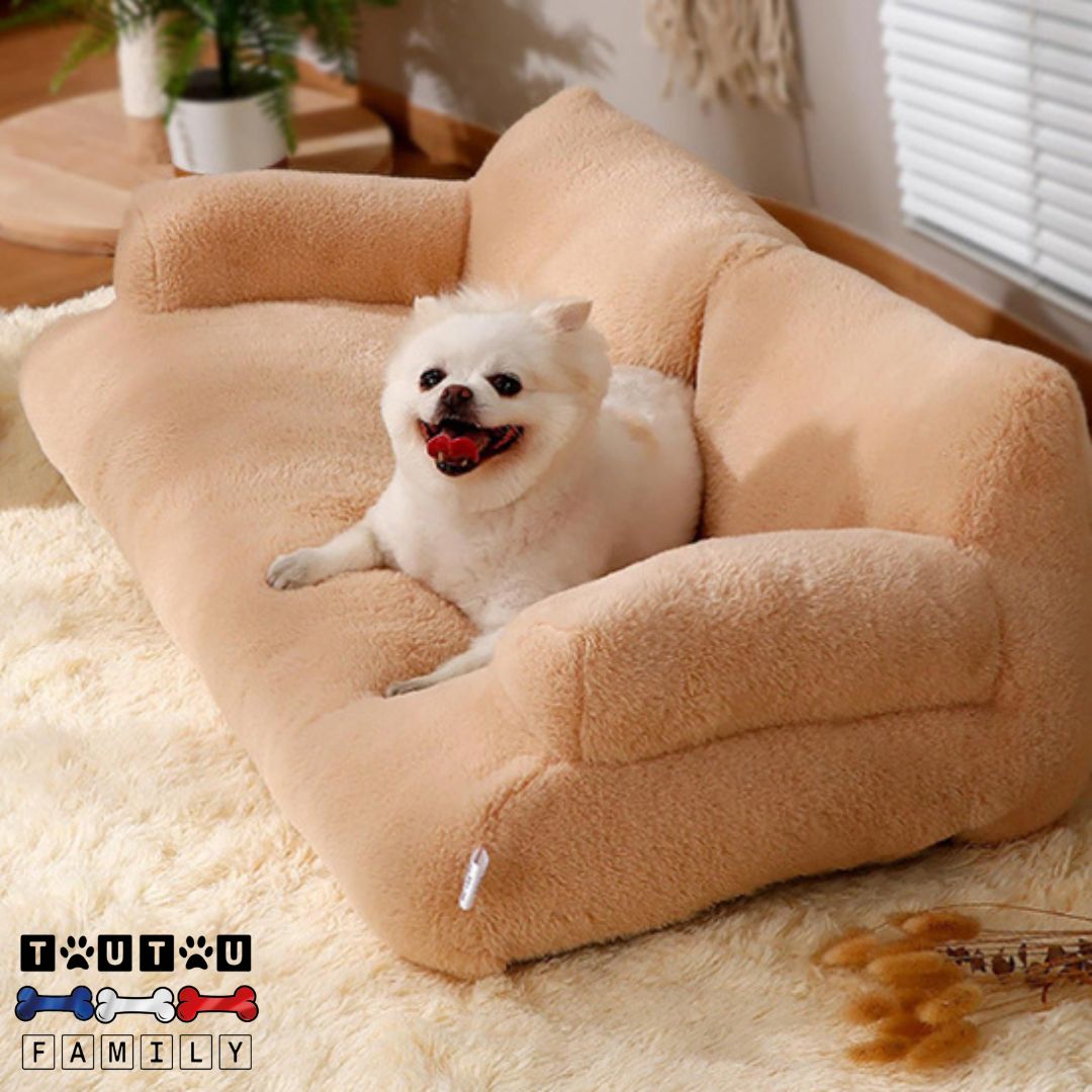 canape-pour-chien-dehoussable