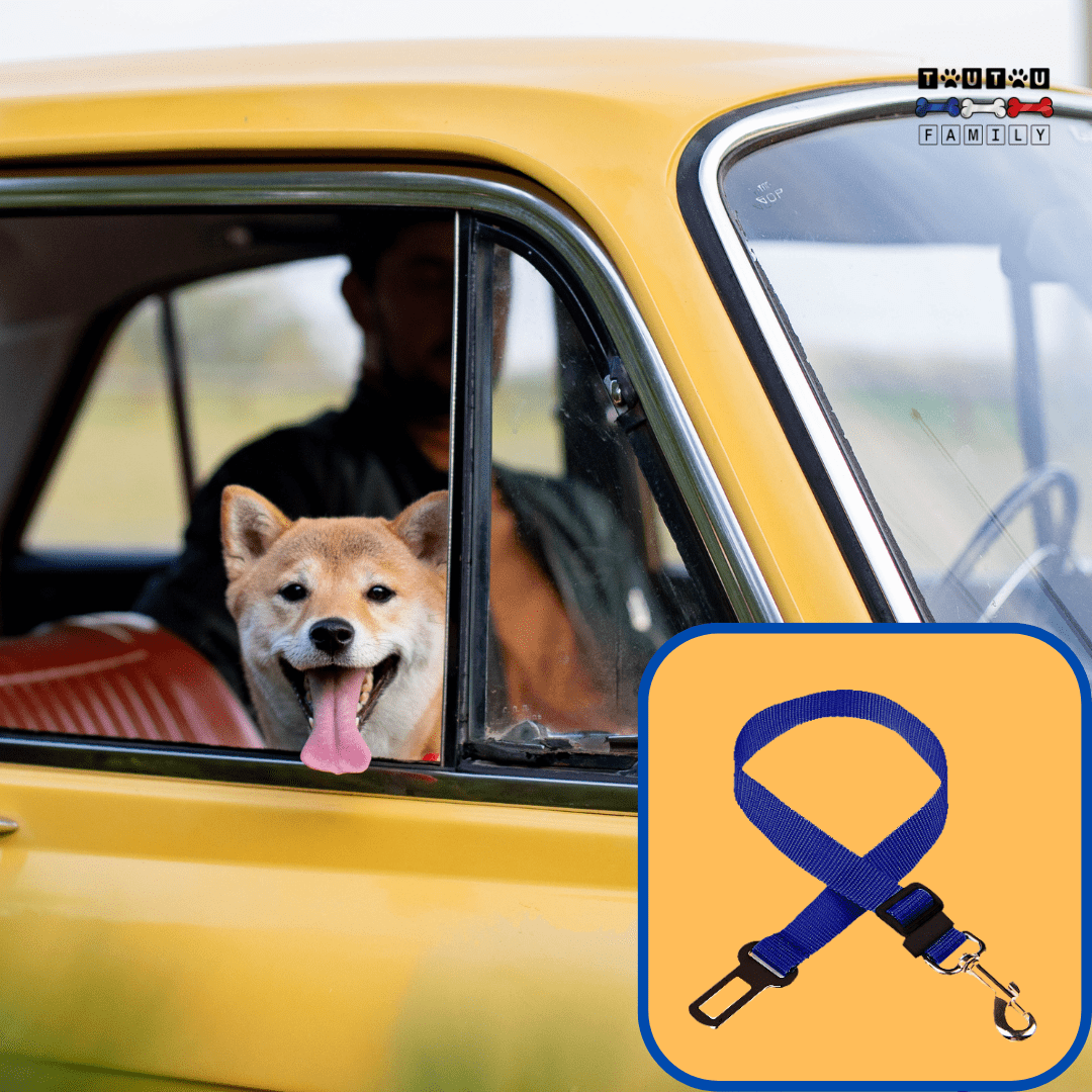 Ceinture de sécurité chien - ClipToutou™