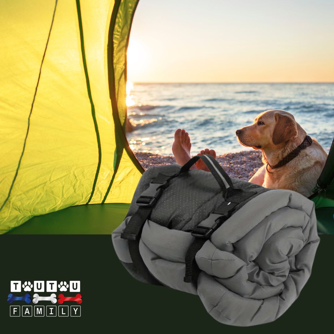 Couchage-pour-chien-pliable-avec-sangles-gris un golden retriever couché avec son tapis pliable gris 100% imperméable dans la tente sur la plage avec son maitre