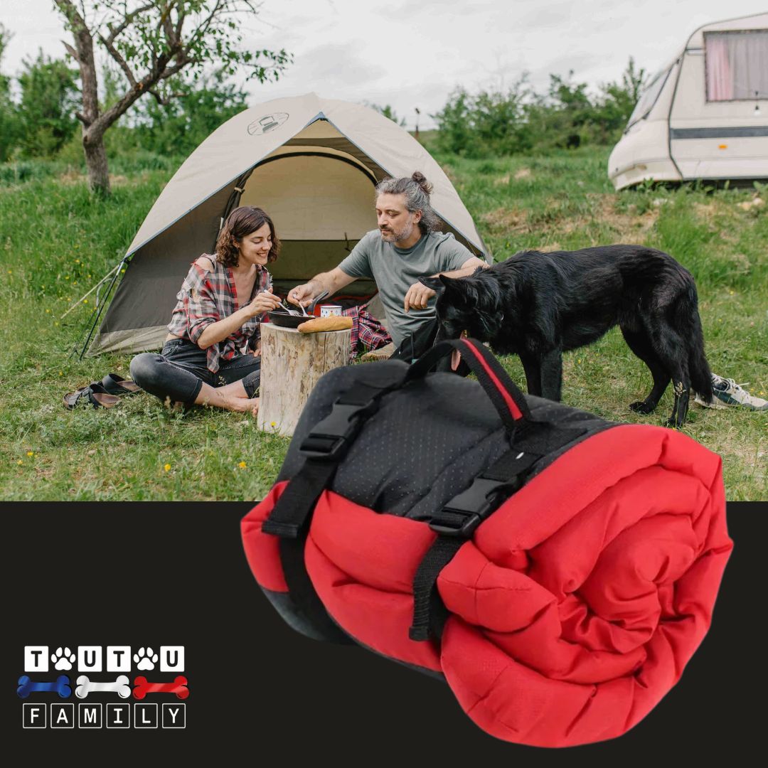 Couchage-pour-chien-pliable-avec-sangles-rouge-un grand chien avec son couchage rouge avec ses sangles de transport 100% imperméable et antidérapant avec ses maitres devant leur tente en camping