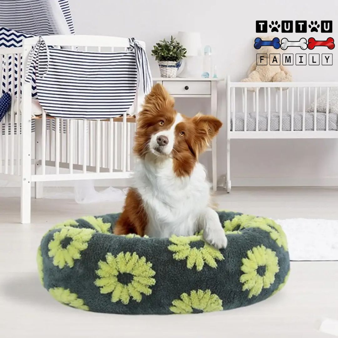 coussin-chien-lavable-coton-antidérapant-ultra-doux-espirant-et-chaud-un-border-collie-installé-confortablement-dans-son-panier-rond-en-forme-de-beignet-avec-rebord-100%-coton-entourant-et-anti-stress-dans-la-chambre