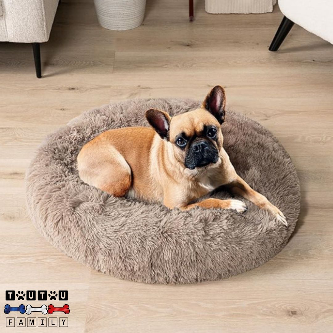coussin-chien-anti-anxiete-un-bouledogue-français-couché-détendu-dans-son-coussin-panier-tout-doux